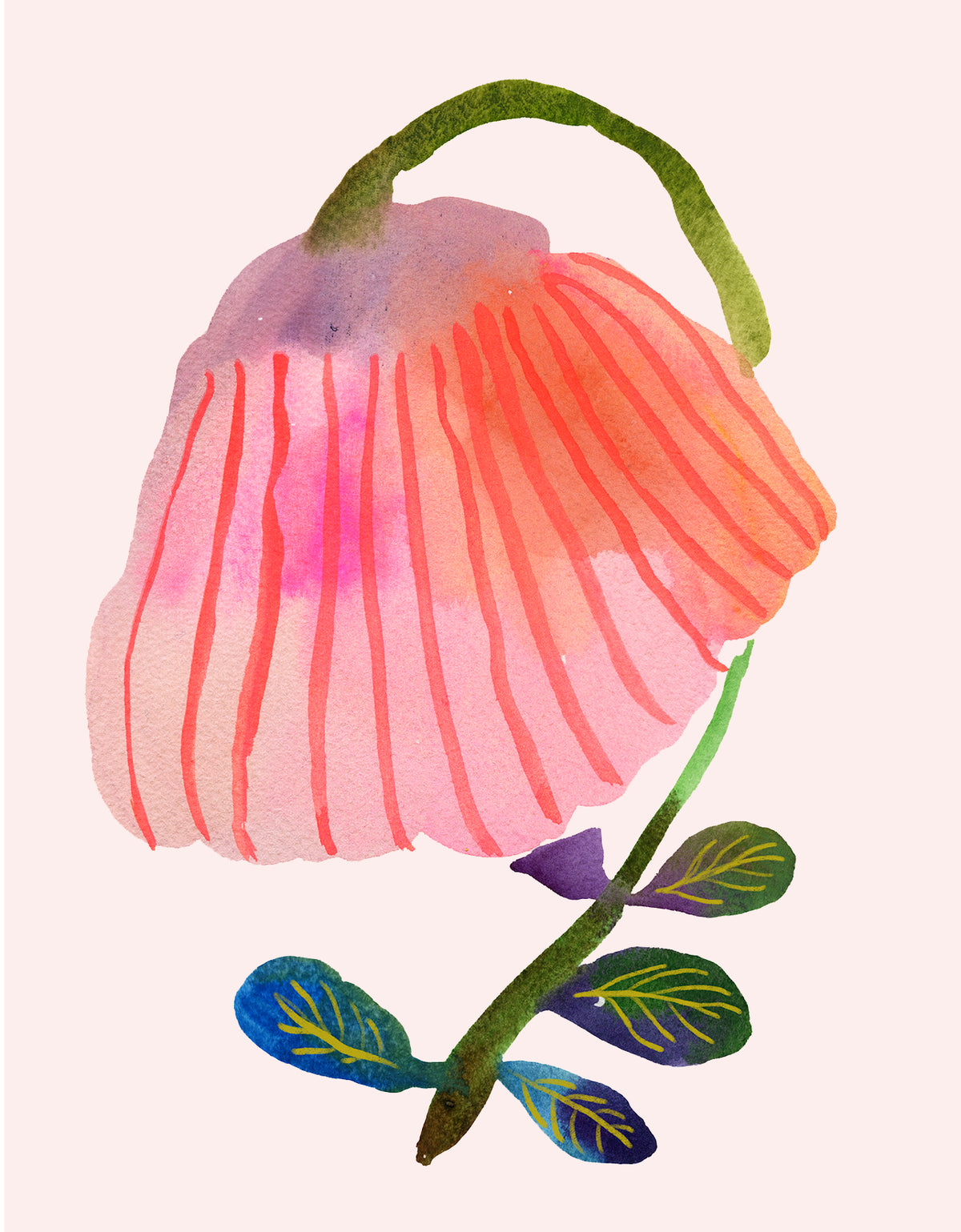 Blank Poppy Flower Note Card