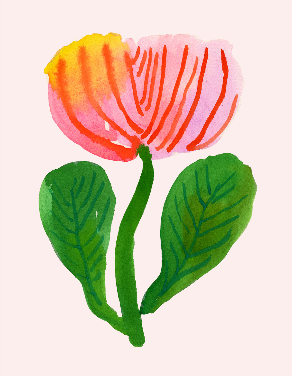 Blank Tulip Flower Note Card