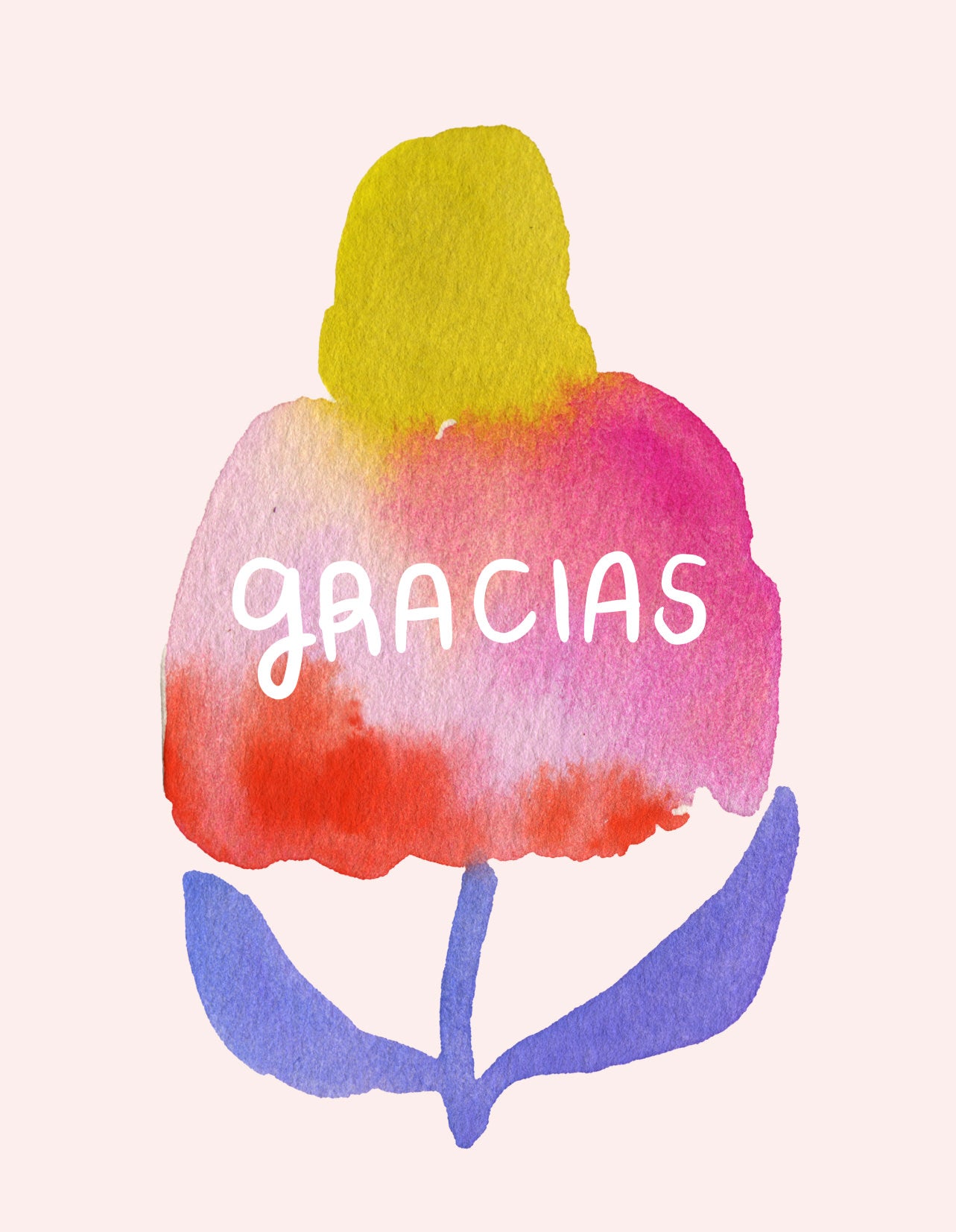 Gracias Echinacea Greeting Card (Spanish)